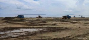 PT. ATI Diduga Lakukan Pengrusakan Mangrove
