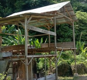 Proyek Penyulingan Nilam Desa Onepute. POKIR Oknum Anggota DPRD Morut Yang Gagal Fungsi.