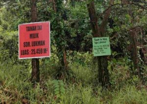 Aktifis Agraria Bicara Soal Pembebasan Lahan Vale, Jangan Biarkan Rakyat Sendiri, Eva Bande Siap Kawal Rakyat Morowali