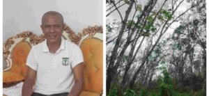 Curhat Petani Karet di Morut, Lahan Butuh Replanting, Usulan ke Pemda Belum Ada Respon
