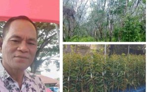 Anggota DPRD Morut Epafras Sambongi Usulkan Tanaman Durian dibanding Sawit di Wilayah Perkebunan Karet
