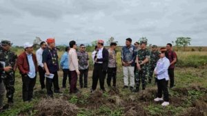 Mentan Bawa Investor Industri Sapi Perah Asal Vietnam Meninjau Lahan di Sulawesi Tengah