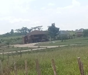 DPRD Morut Diminta Monitor Proyek Jalan Menuju Villa di Tinompo