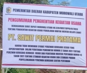 Penutupan PT. SPP Oleh Bupati Morut Berdampak ke Petani Sawit