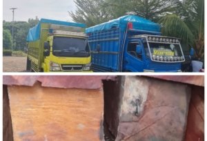 Dugaan Aktivitas Ilegal Logging di Kawasan Cagar Alam Bungku Utara
