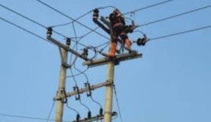 Kepala PLN Bungku Akui Listrik Di Morowali Pas-pasan, Witaponda Tanggung Jawab PLN Kodal