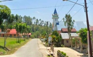 Sekilas Tentang Desa Tamonjengi