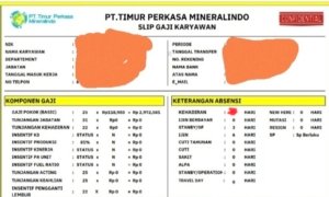 PT. Timur Perkasa Mineralindo, Bayar Gaji Karyawan Jauh Dibawah UMK Morut
