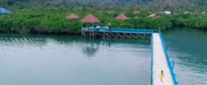 Sekilas Tentang Desa Koya