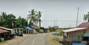 Sekilas Tentang Desa Pandauke
