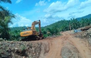 Material Penimbunan Jalan Hauling PT. TPM Diduga Dari Galian C Ilegal di Bimor Jaya