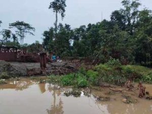 Sekali Cari Besi dapat 5-10 jutaan, Warga Nekat Masuk Kawasan Sungai Laa Moito tempat Buaya Ganas