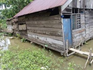 Rumah Ibu Yunita Warga Tompira, Bocor dan Nyaris Roboh. Bantuan Atap Seng Diduga Dipakai Oknum Perangkat Desa