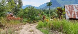 Warga Dusun IV Werampadoa Desa Lemo Belum Nikmati Listrik