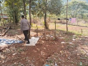 Respon Pemberitaan, Polres Morut Periksa Lokasi Judi Sabung Ayam di Tompira