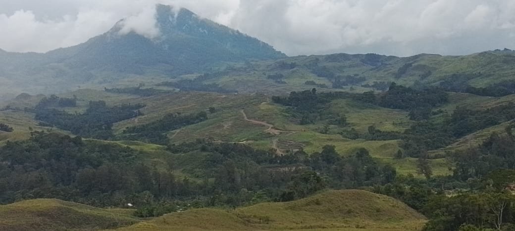 Demi Investasi, Suku Wana Kehilangan Warisan Leluhur