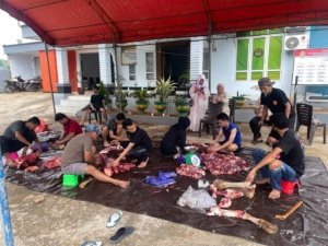 Kejaksaan Negeri Morowali Utara Serahkan Hewan Kurban ke Masjid Agung Nurul Taqwa Kolonodale