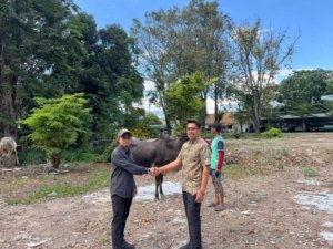 Idul Adha 1446 Hijriah, PT. Trinusa Dharma Utama Salurkan 20 Ekor Hewan Kurban