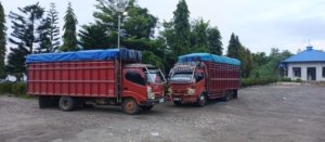 Dugaan Peran Oknum Mengaku LSM dan Wartawan Terkait Ilegal Logging di Taronggo