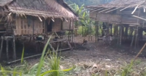 Mengenal Suku Wana, Penjaga Hutan dari Pedalaman 