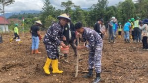 TNI AL Gagas Ketahanan Pangan Lewat Penanaman Jagung di Morowali Utara