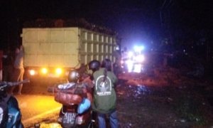 Breaking News: Banjir Terjang Desa Molino, Akses Jalan Tompira–Bungku Putus
