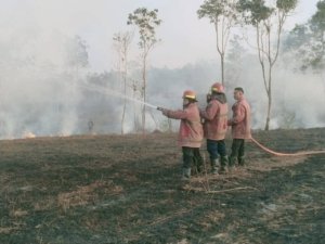 Damkar Morut Berhasil Padamkan Kebakaran Lahan 4 Hektare di Desa Mandula