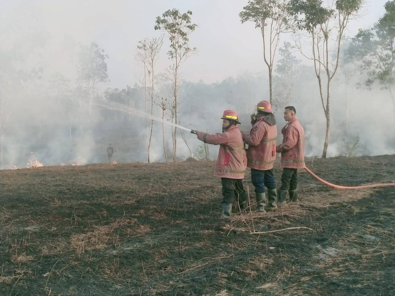 Damkar Morut Berhasil Padamkan Kebakaran Lahan 4 Hektare di Desa Mandula