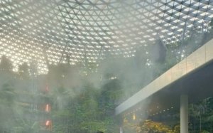 Hapus Postingan Sosmed, ASN PUPR Morut Minta Maaf Usai Unggah Foto Wisata ke Singapura