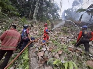Api Berhasil Dipadamkan, Petugas Damkar Sigap Tangani Kebakaran Lahan di Desa Korololama