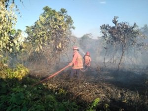 Kebakaran Berulang di Morowali Utara, Penegakan Hukum Terhenti di Level Imbauan