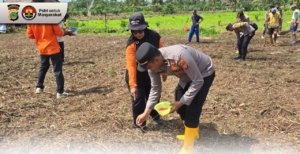 Warga Desa Ungkea Apresiasi Kapulsubsektor Petasia Timur dalam Program Ketahanan Pangan