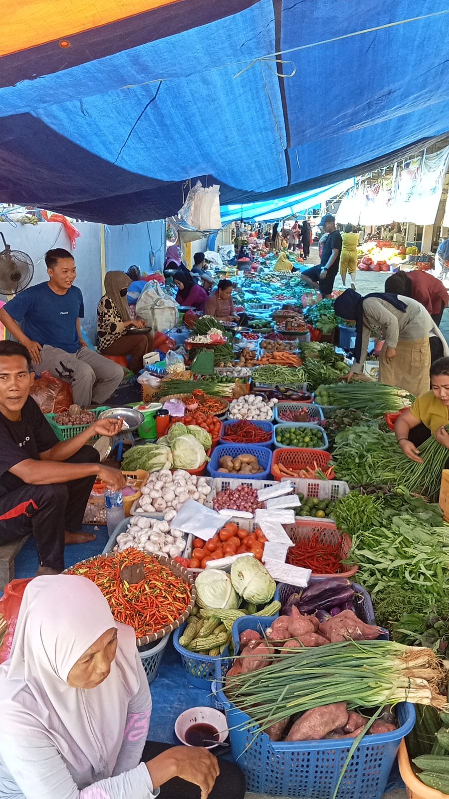 Harga Cabai di Pasar Kolonodale Turun