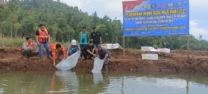 Kolaborasi dengan Pemda, Pos TNI AL Morowali Utara Tebar 51 Ribu Benih Ikan Dukung Program Ketahanan Pangan