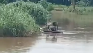 Diduga Ilegal, Penyedotan Pasir di desa Tiu Beroperasi Lagi