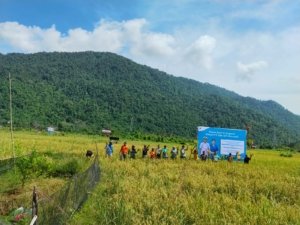 Danposal Kapten Laut (P) Djito Hadiri Panen Padi SRI Organik Binaan PT Vale IGP Morowali