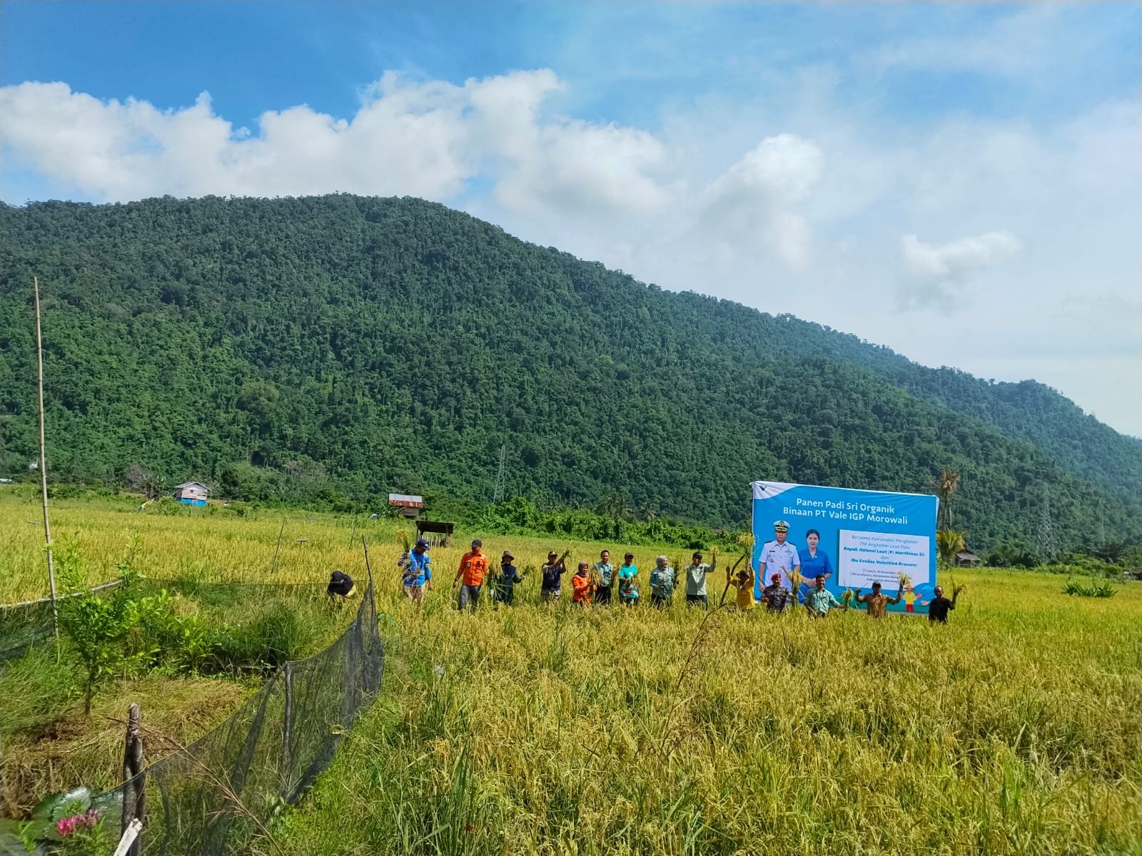Danposal Kapten Laut (P) Djito Hadiri Panen Padi SRI Organik Binaan PT Vale IGP Morowali