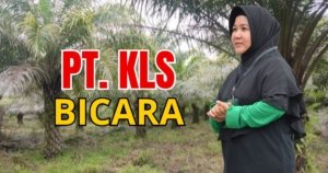 PT. KLS Bicara Ditengah Memanasnya Konflik Agraria di Morut: “Kami Siap Buktikan Legalitas”