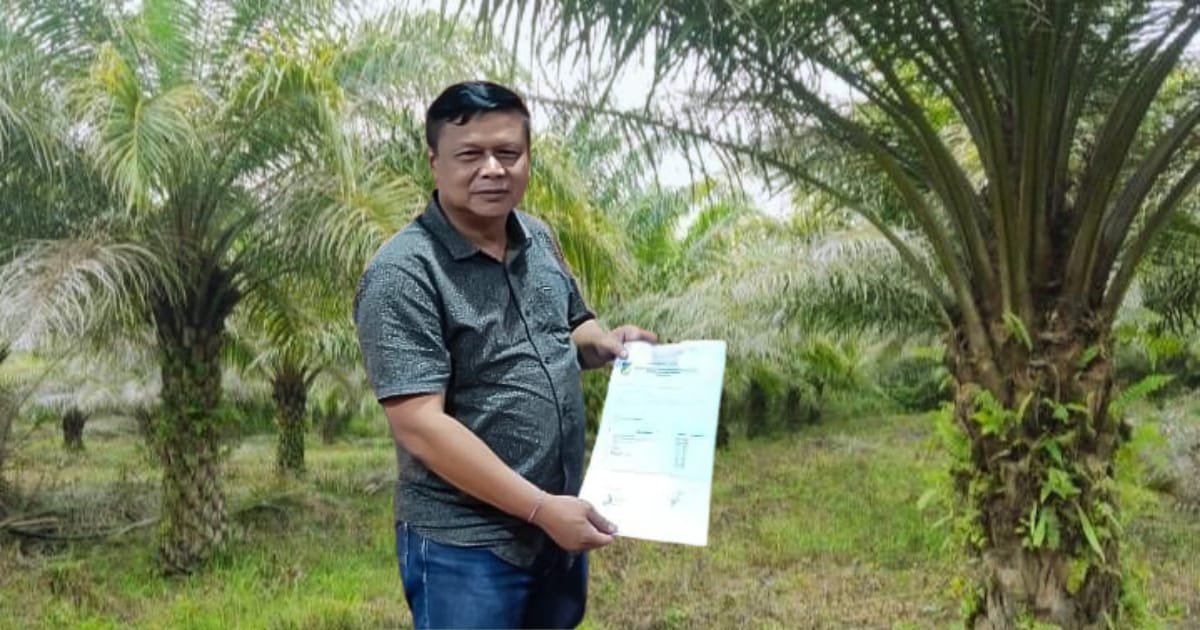 Disorot Publik, PT Kurnia Luwuk Sejati Tegaskan Tidak Ada Pelanggaran Hukum