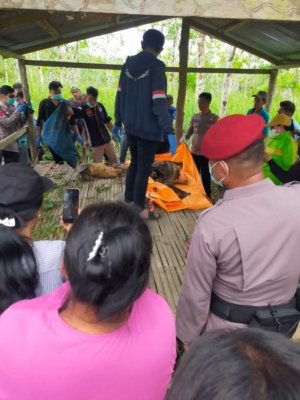 Berikut Kronologi Penemuan Kerangka Manusia di Korobonde, Terakhir Terlihat Bulan Maret