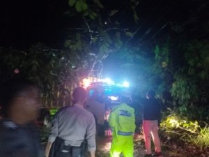 Gerak Cepat Polantas Polres Morut Atasi Pohon Tumbang di Jalan Trans Sulawesi Tompira