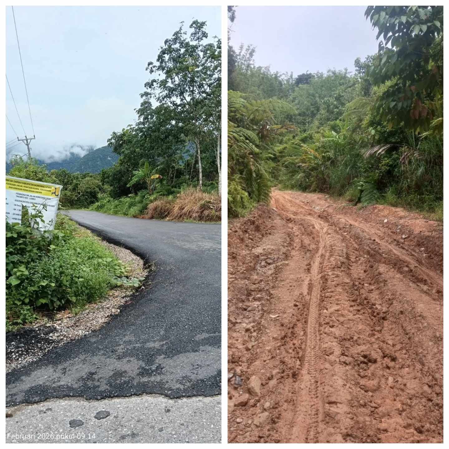 Ironi Pembangunan Jalan di Kabupaten Morowali Utara: Desa Terabaikan, Akses ke Villa Mulus