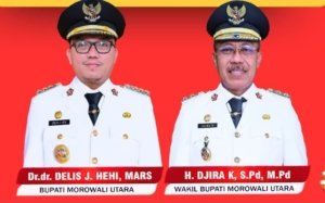 Delis-Djira Gagal Menata Birokrasi?