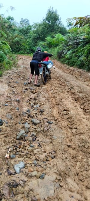 Miris! 68 Persen Jalan di Morowali Utara Rusak Berat