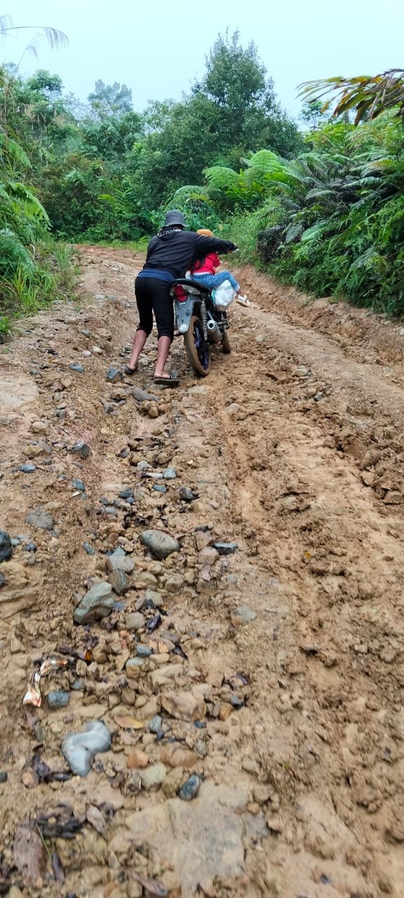 Miris! 68 Persen Jalan di Morowali Utara Rusak Berat
