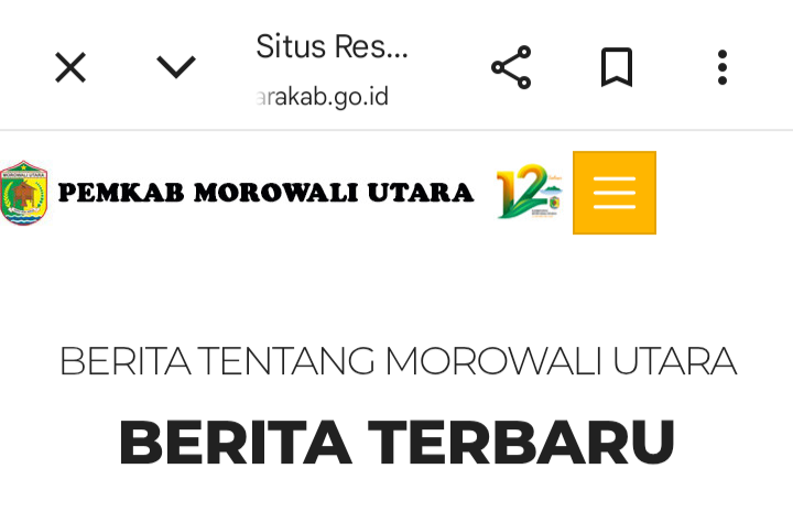 Digitalisasi Setengah Hati? Website Pemkab Morut Tak Lagi Aktif