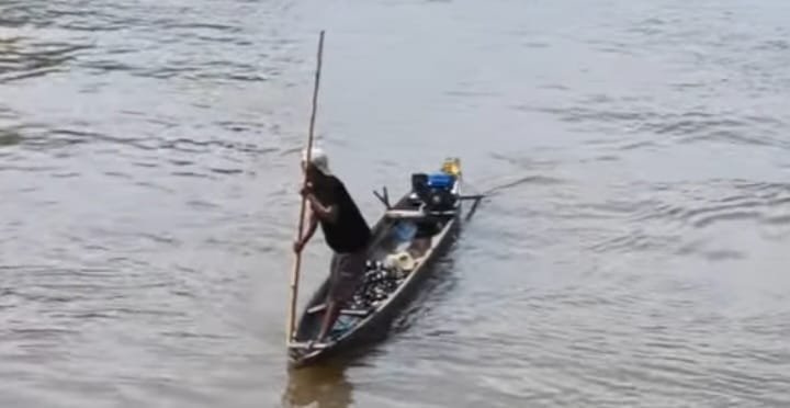 Meti Kerang Sungai Laa di Morowali Utara, Sumber Protein Lokal dengan Banyak Manfaat Kesehatan