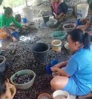Permintaan Meti di Morut Meningkat di Bulan Ramadhan, Capai 150 Liter Perhari