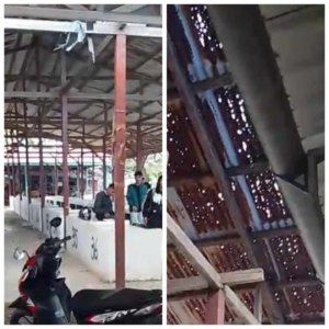 Proyek Tahun 2025 Pasar Ikan Kolonodale Mubazir Tak Digunakan, Atap Pakai Seng Bekas