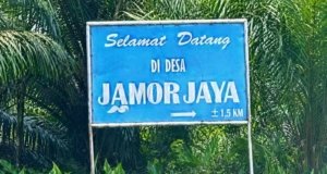 Bantuan Sapi Disorot, Inspektorat, Dinas Pertanian dan Dinas PMD Morut Turun ke Jamorjaya